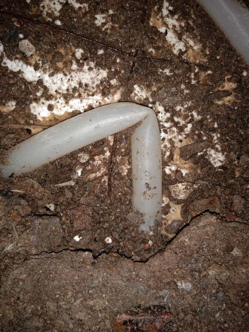 宁强堵点精准查找